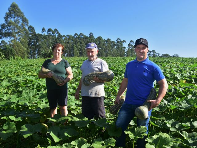 Jovem rural permanece na agricultura