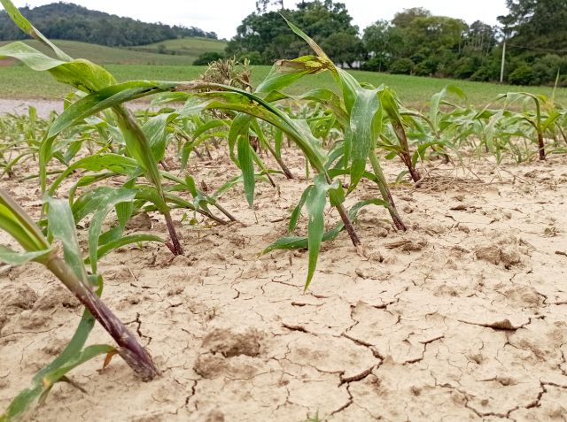 Eventos climáticos extremos em SC