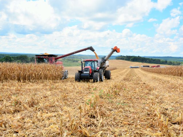 Dados sobre o setor agropecuário catarinense