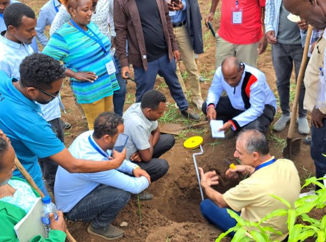 agricultura na etiópia