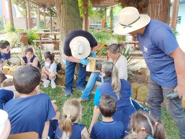 educação ambiental sobre abelhas