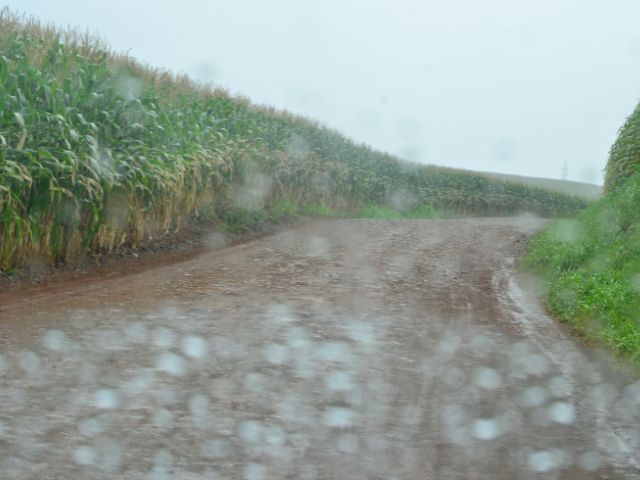 Importância das estimativas agrícolas fortalecimento do agronegócio diante dos desafios climáticos e geopolíticos. (Foto: Aires Mariga/Epagri)
