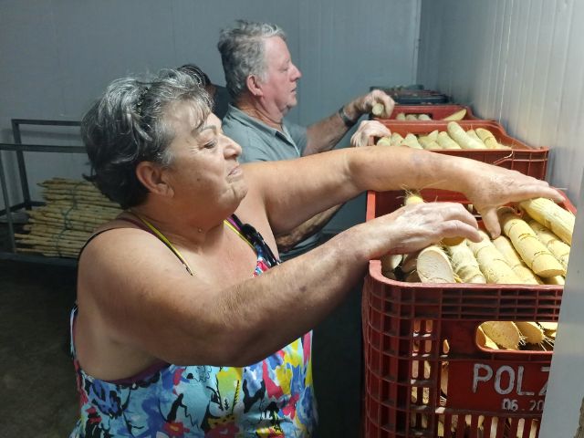 Maria adquiriu câmara refrigerada para acondicionar a cana após fazer o curso Flor-E-Ser
