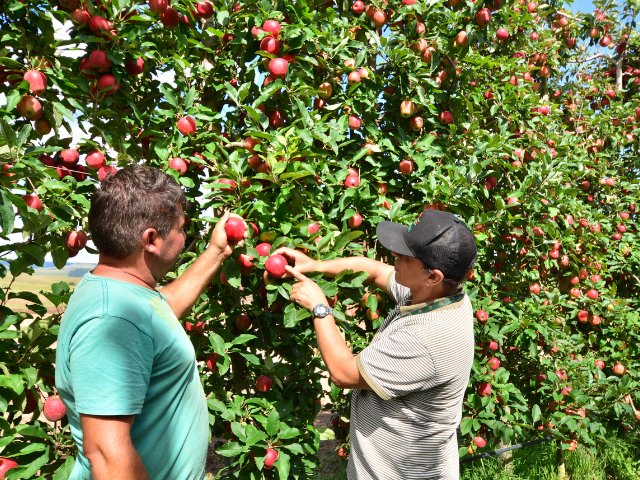 Foto: Reprodução/Secom SC