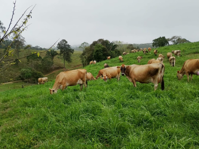 Foto: Reprodução/Secom SC