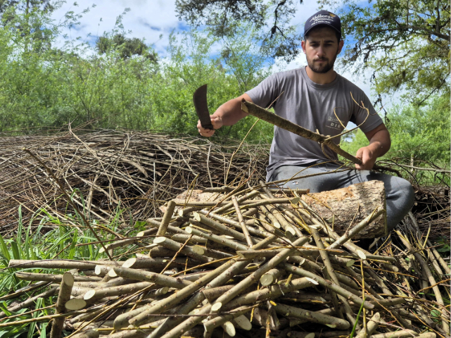 Foto: Reprodução/Secom SC