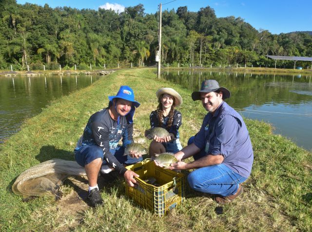 Foto: Reprodução/Secom SC