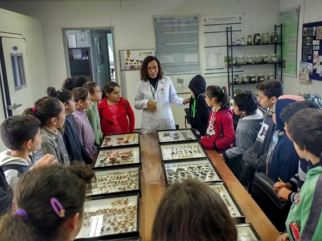 Foto: Reprodução/Secom SC