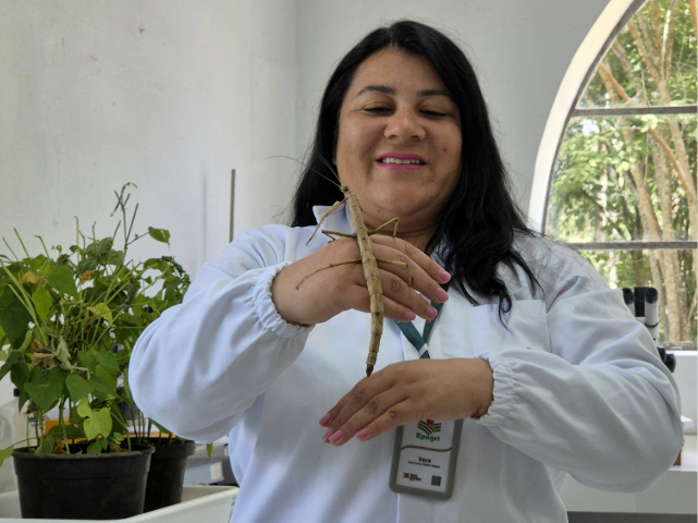 Foto: Reprodução/Secom SC