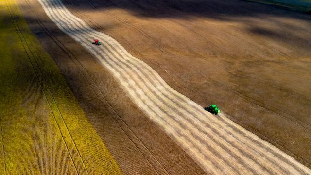 Foto: Reprodução/Secom SC