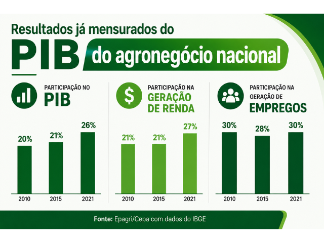 Foto: Reprodução/Secom SC