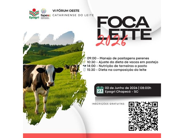 Foto: Reprodução/Secom SC